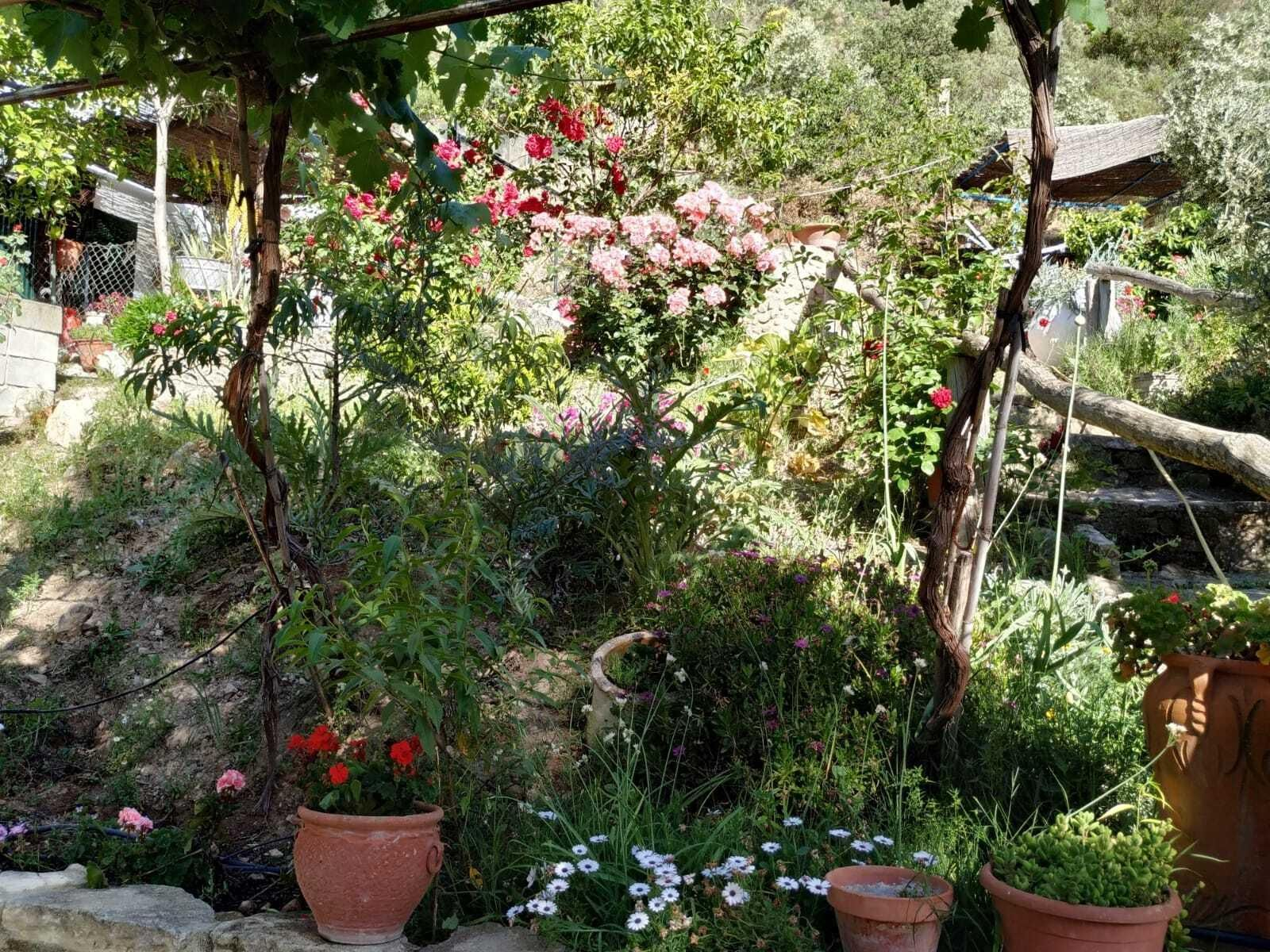 Fotografías de cómo lucen los patios, balcones y rejas de Iznájar.