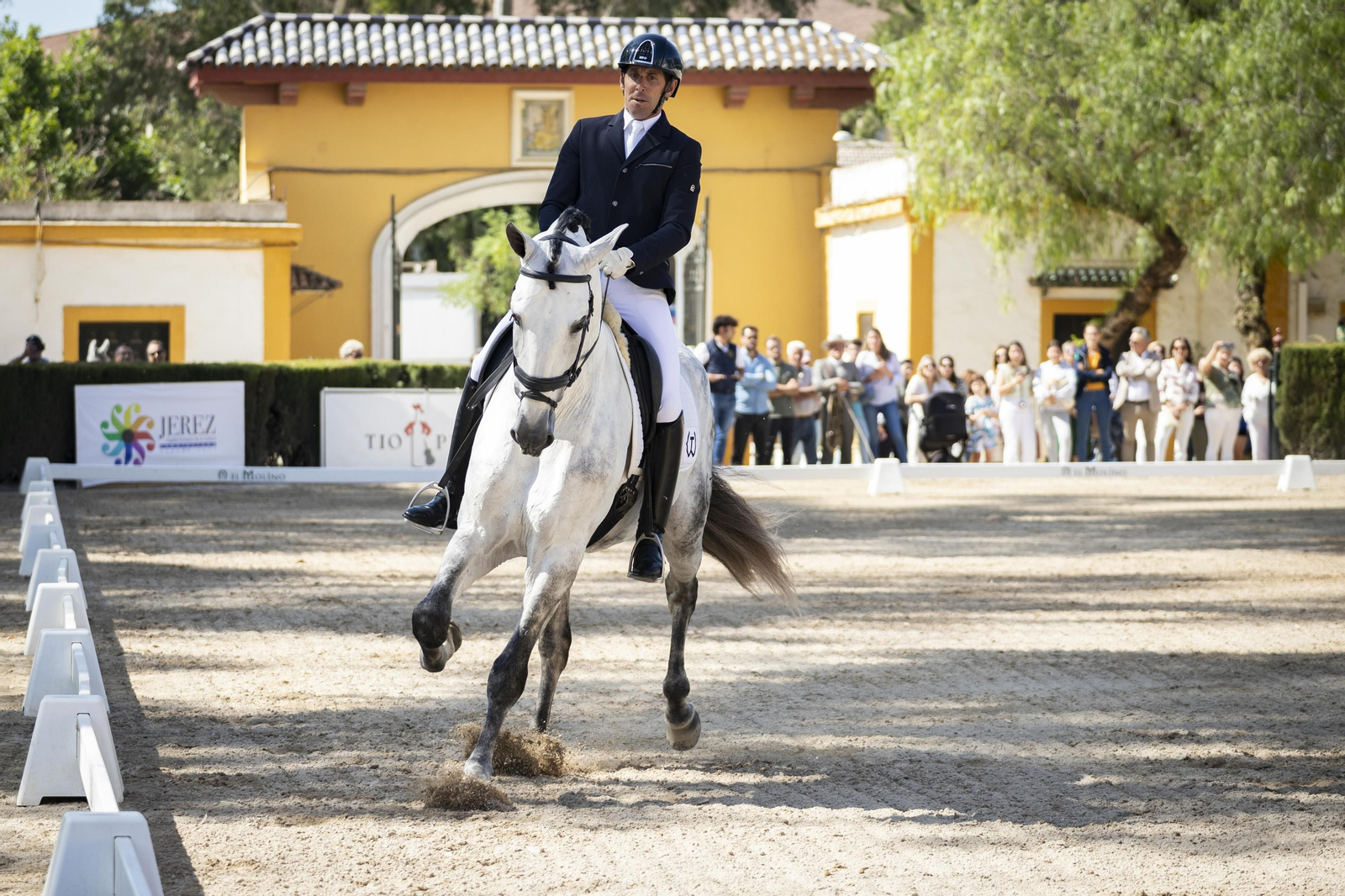 El concurso Campeón de Campeones en el Depósito de Sementales de Jerez