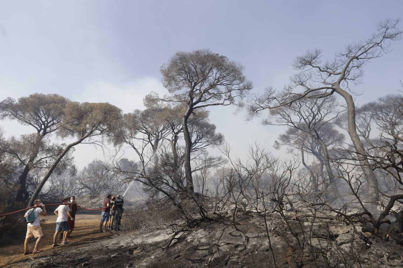 El fuego arrasa Las Canteras en Puerto Real