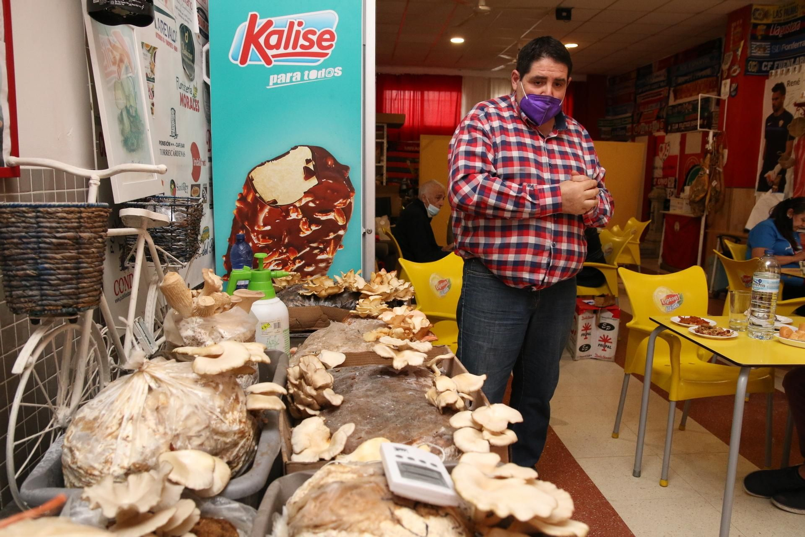 Fotogalería del Reino de las Setas