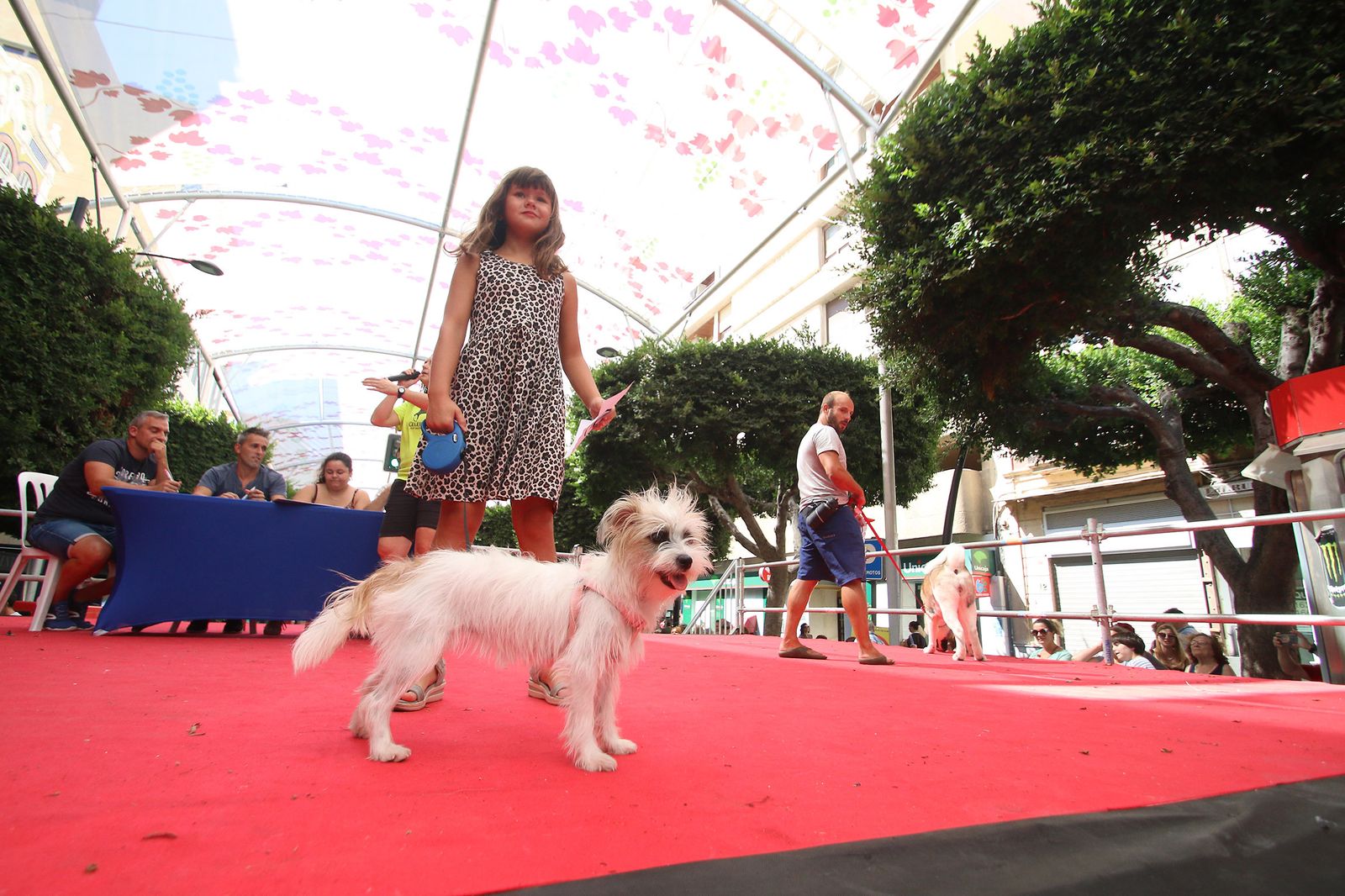Fotogalería del concurso canino. Feria de Almería 2019