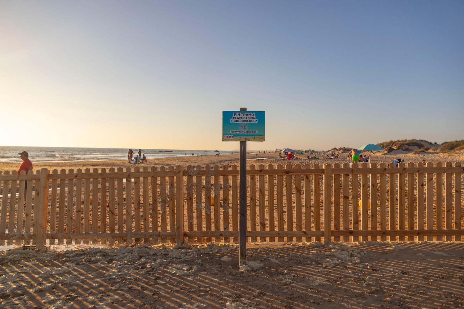 Así disfrutan los perros y sus dueños en la playa canina de Cádiz