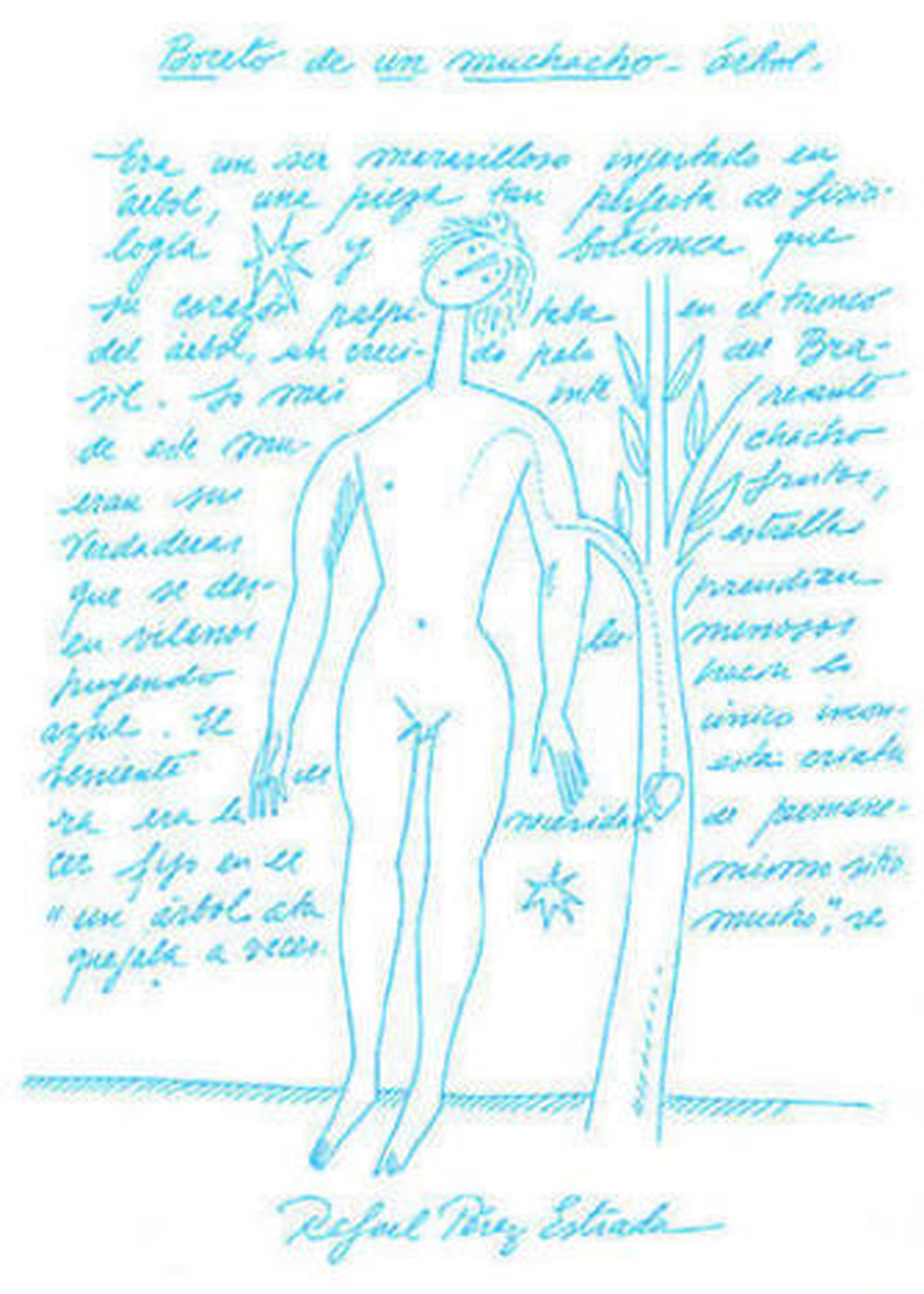 El hombre que plantaba árboles (b)