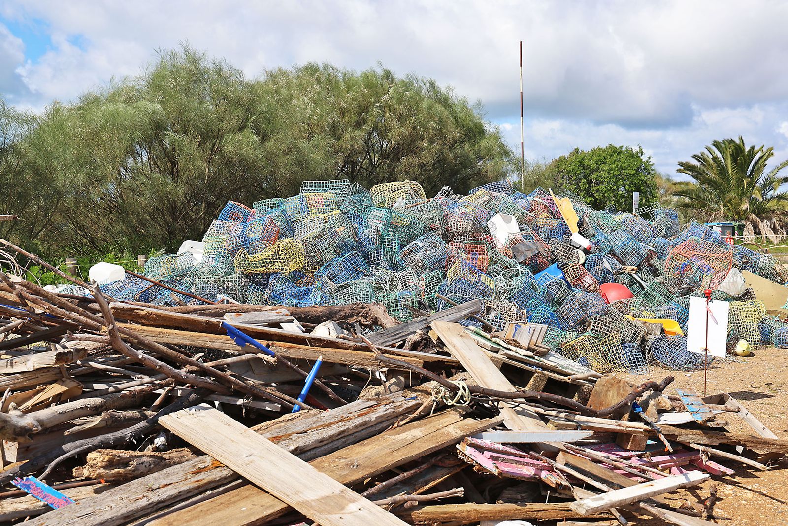 Imágenes de la Acción medioambiental de limpieza en la playa del Espigón, organizada por Gañafote Cup