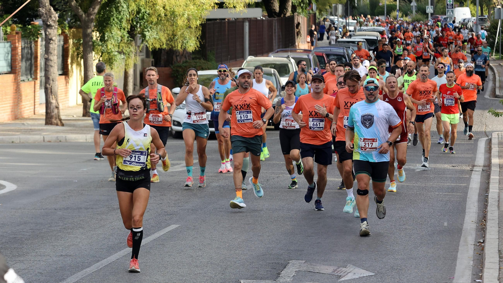 Búscate en la Media Maratón de Jerez 2025 (3)