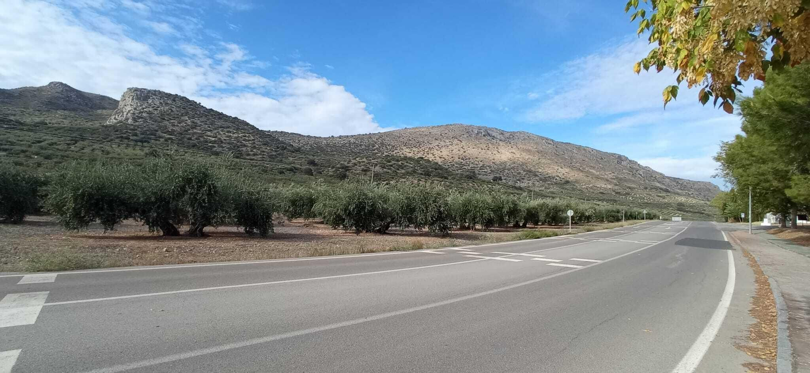 Las imágenes de la Ruta Zagrilla Baja - Esparragal - Zagrilla Baja