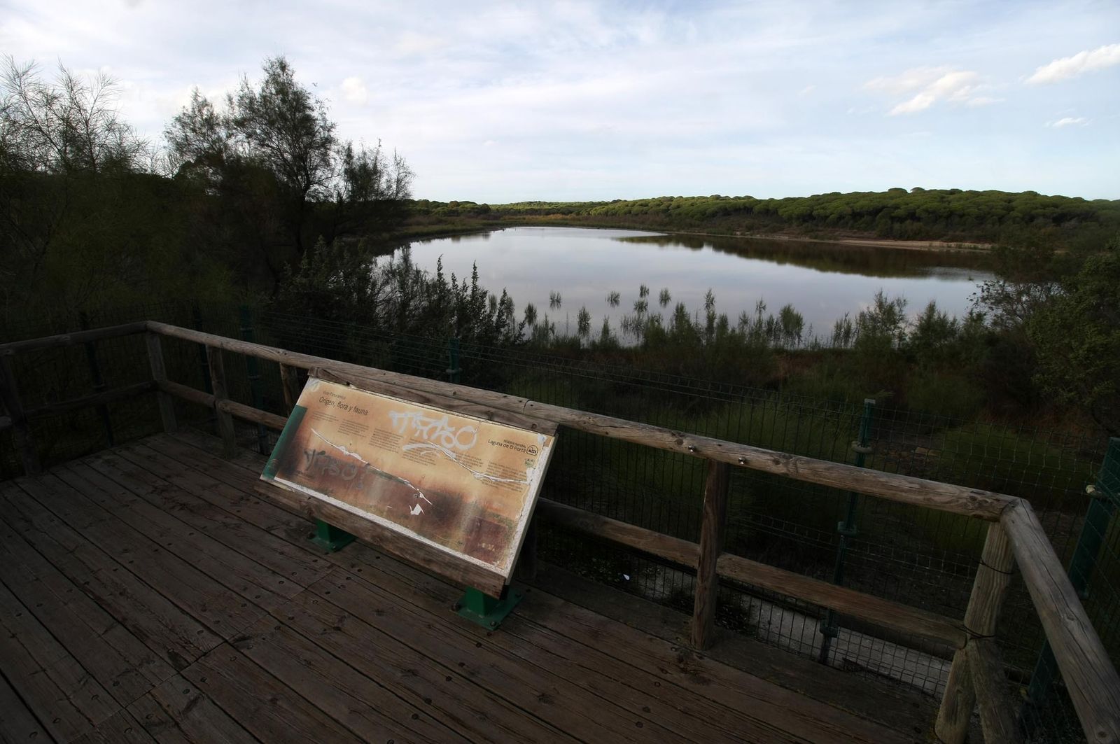 Imágenes de la marisma de El Rocío y de la laguna de El Portil tras las últimas lluvias