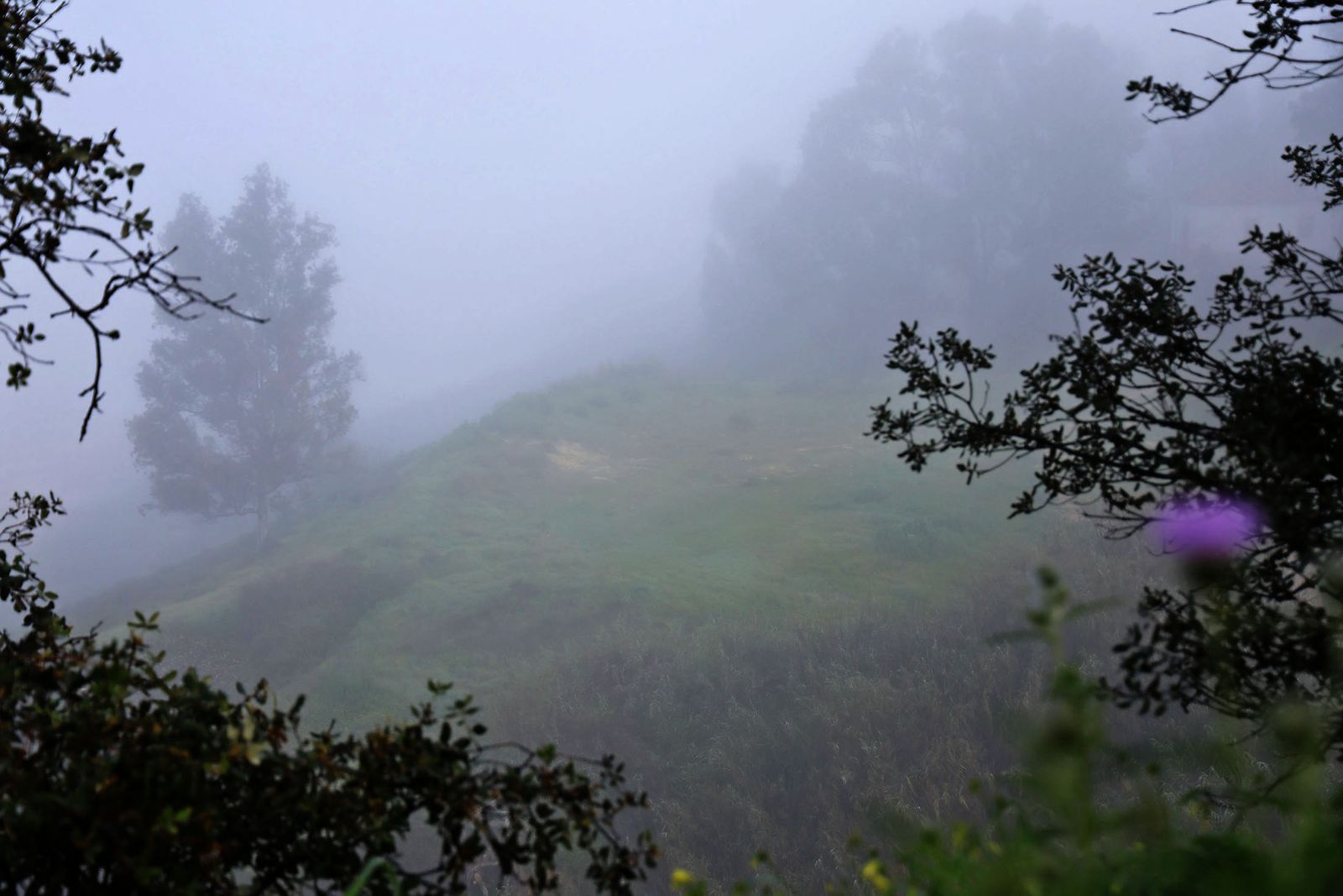 Imágenes de la espesa niebla durante la mañana en Huelva