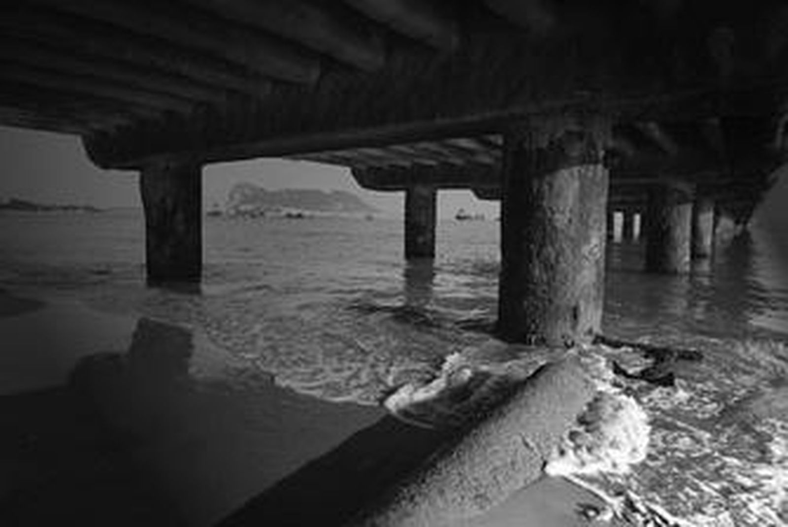 Imagen tomada ayer en la playa de Guadarranque.