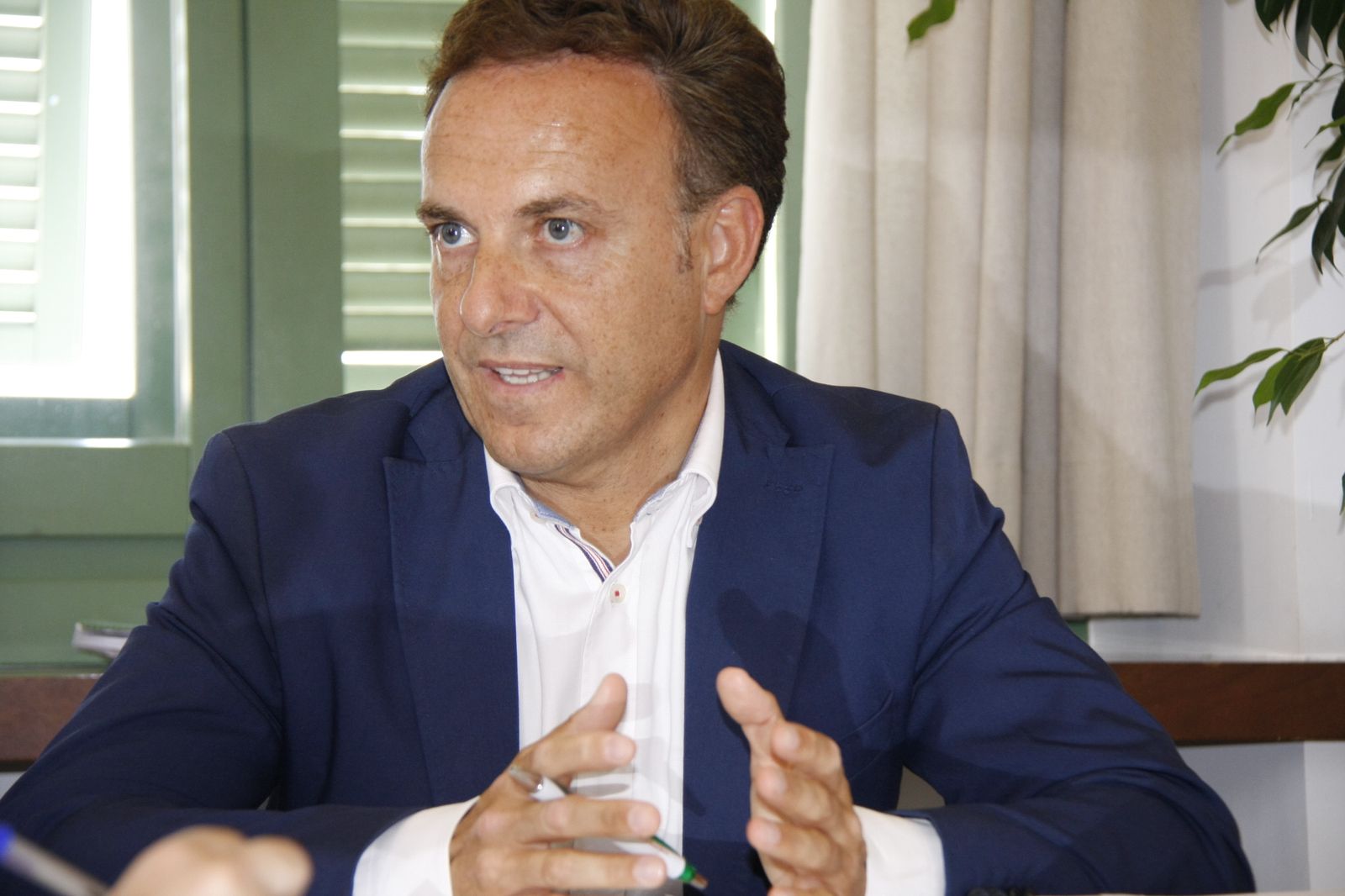 El diputado David de la Encina.