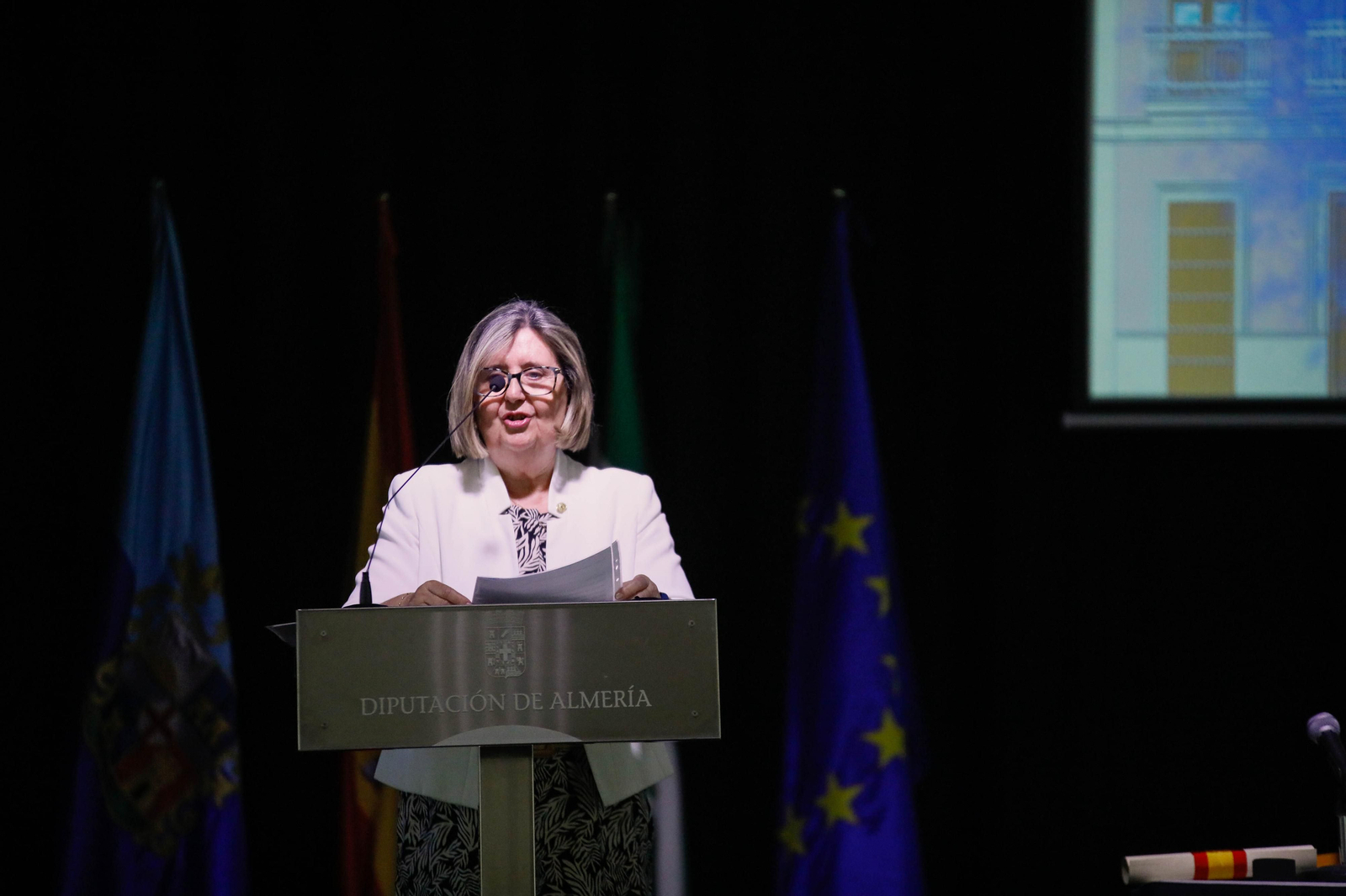 Imágenes de la entrega de los Escudos de Oro del IEA y la celebración de su Plenario