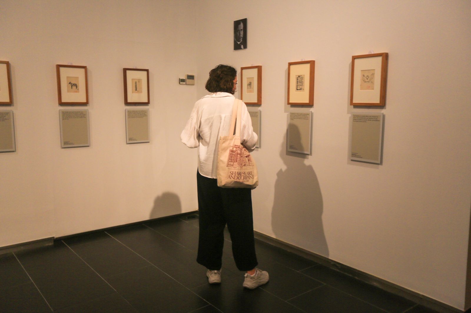 Algunas de las imágenes y textos que conforman la exposición sobre las greguerías ilustradas.