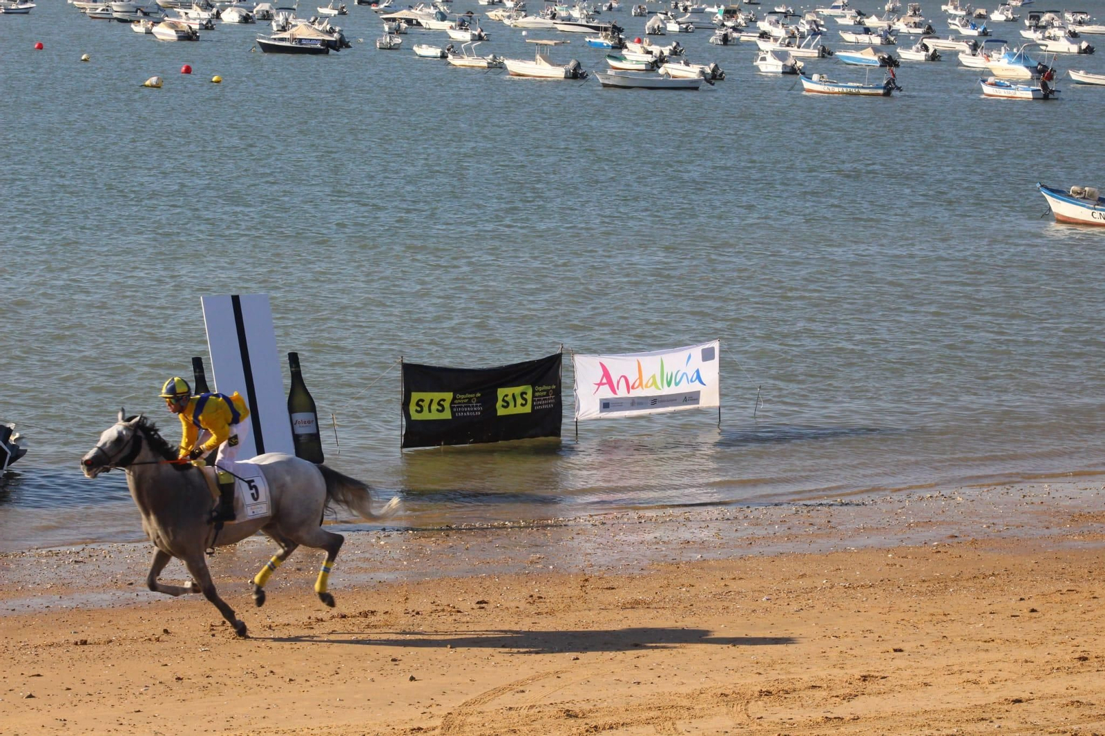 Imágenes del segundo día de Carreras de Caballos de Sanlúcar Imágenes del segundo día de Carreras de Caballos de Sanlúcar