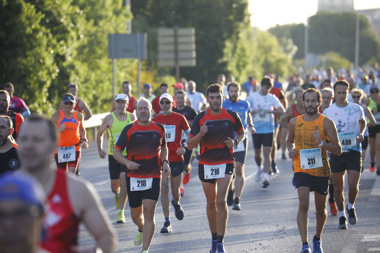 La XXXVI Media Maratón Córdoba-Almodóvar del Río, en imágenes