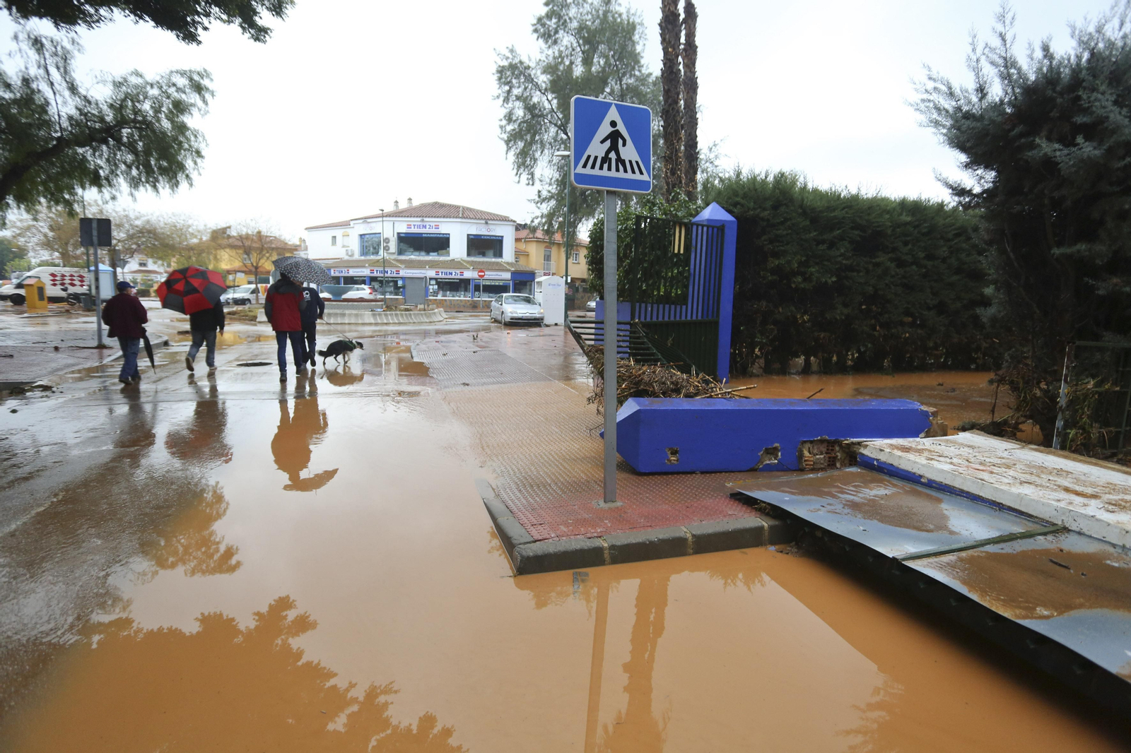 Las fotos de Campanillas inundada por el desbordamiento del río