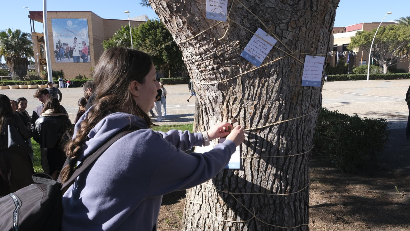 El árbol de la democracia de la Universidad de Almería, en imágenes