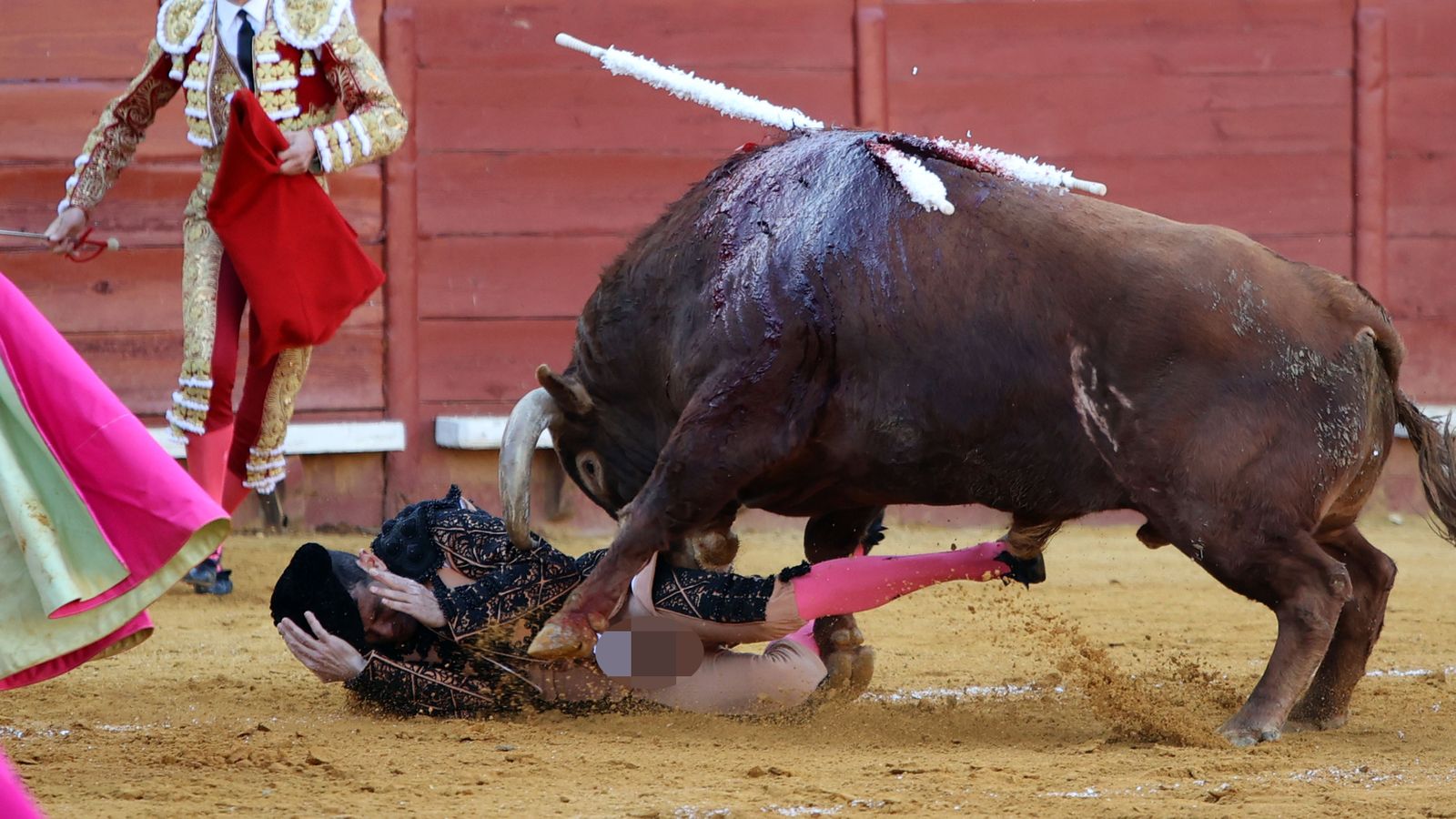 Última tarde de toros de la Feria de Jerez 2024 con Morante, Manzanares y Castella