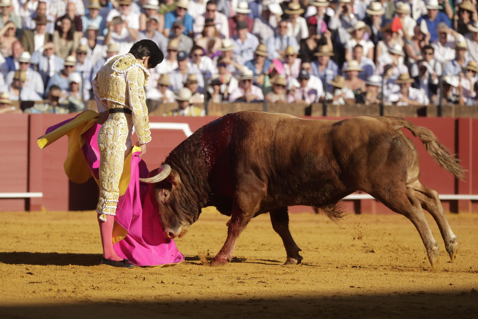 Las imágenes del festejo