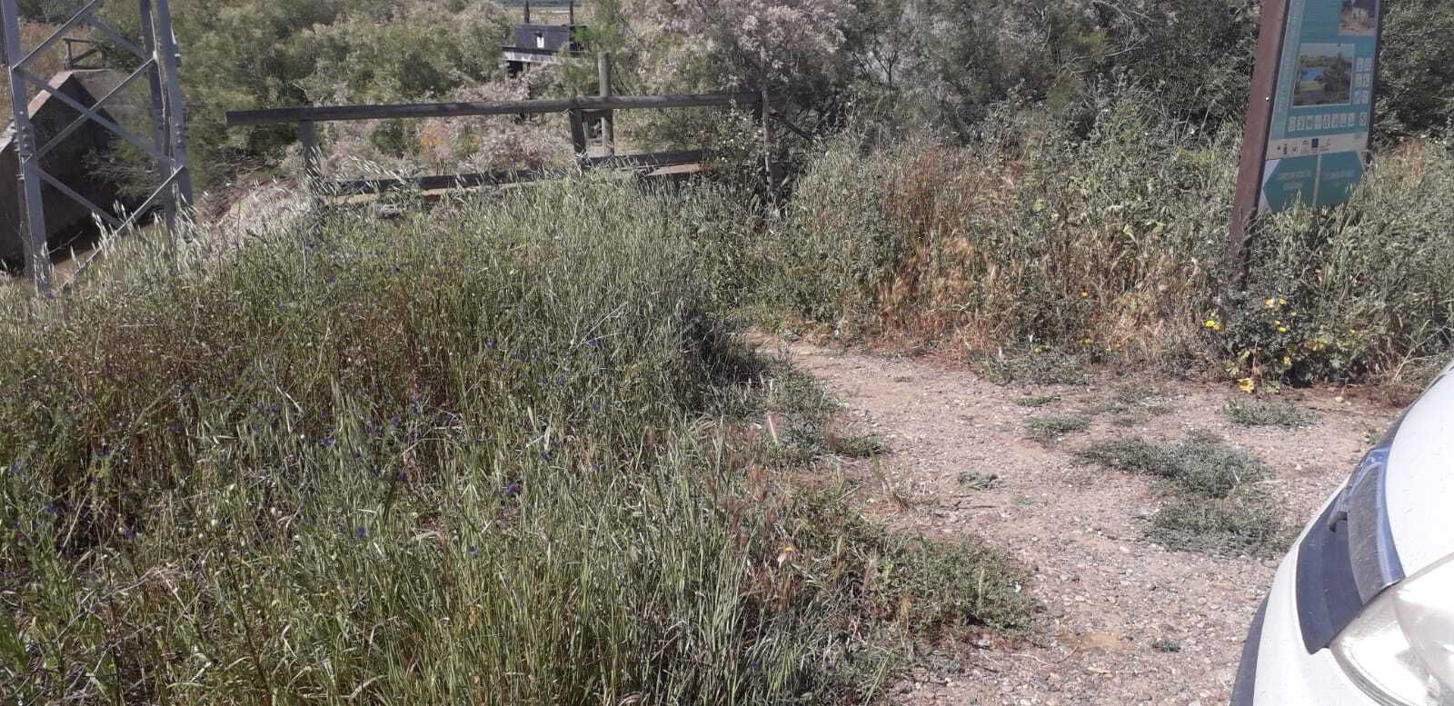 Puerta de la laguna de la  Reserva Dehesa de Abajo
