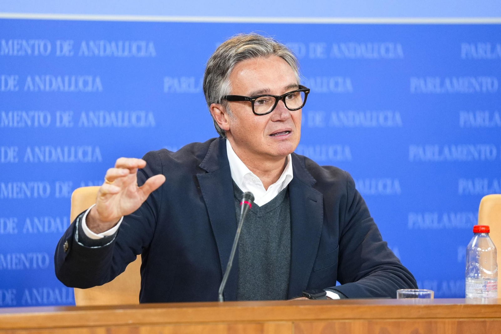 El portavoz del grupo parlamentario de Vox en Andalucía, Manuel Gavira.