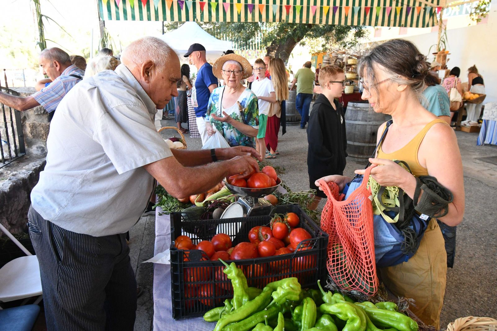 Mercado organizado para la venta de productos de la huerta local.