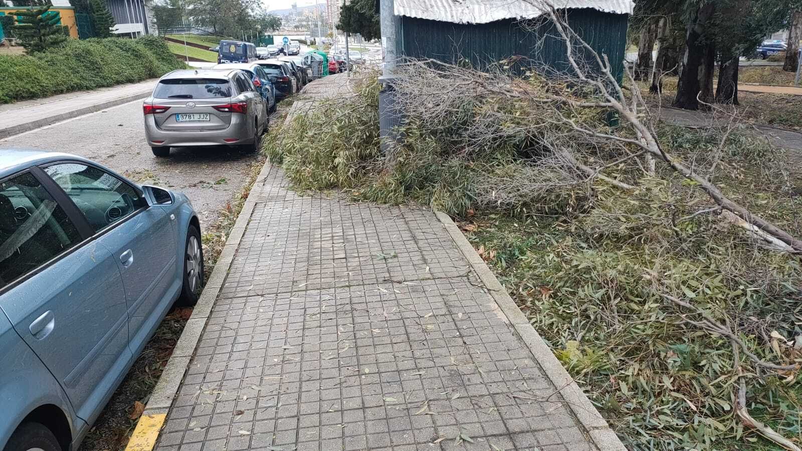 Las fotos de los lectores de Europa Sur del temporal Karlotta