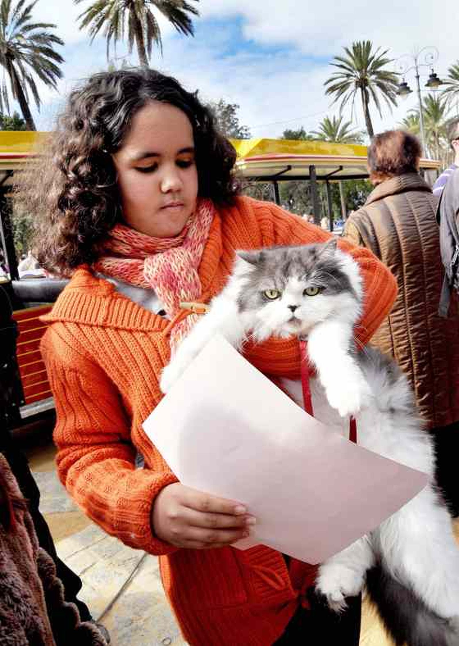 El parque González Hontoria acoge un año más la festividad de San Antón en el que los perros protagonizan la celebración pues de los 800 animales inscritos 600 eran canes.

Foto: Manu Garcia