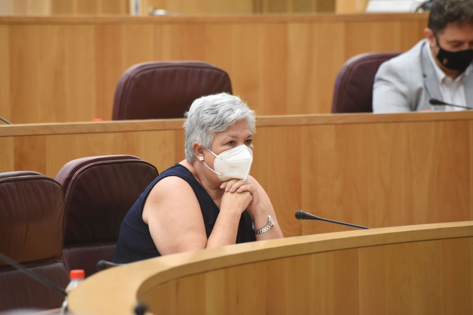María Ángeles Blanco, durante el pleno de la Diputación en el que se ha confirmado su renuncia.