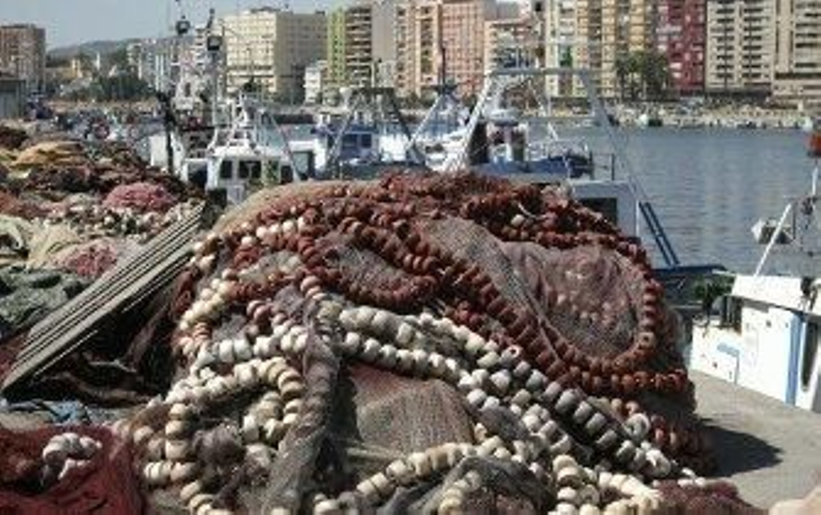 Los barcos europeos no saldrán a faenar en Marruecos hasta septiembre Los barcos europeos no saldrán a faenar en Marruecos hasta septiembre