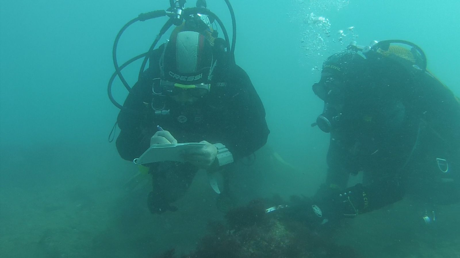 Las imágenes de la Operación Versos