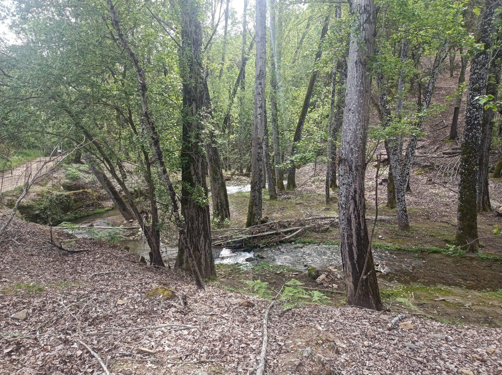 Las fotos de la ruta circular entre Aracena y Corteconcepción