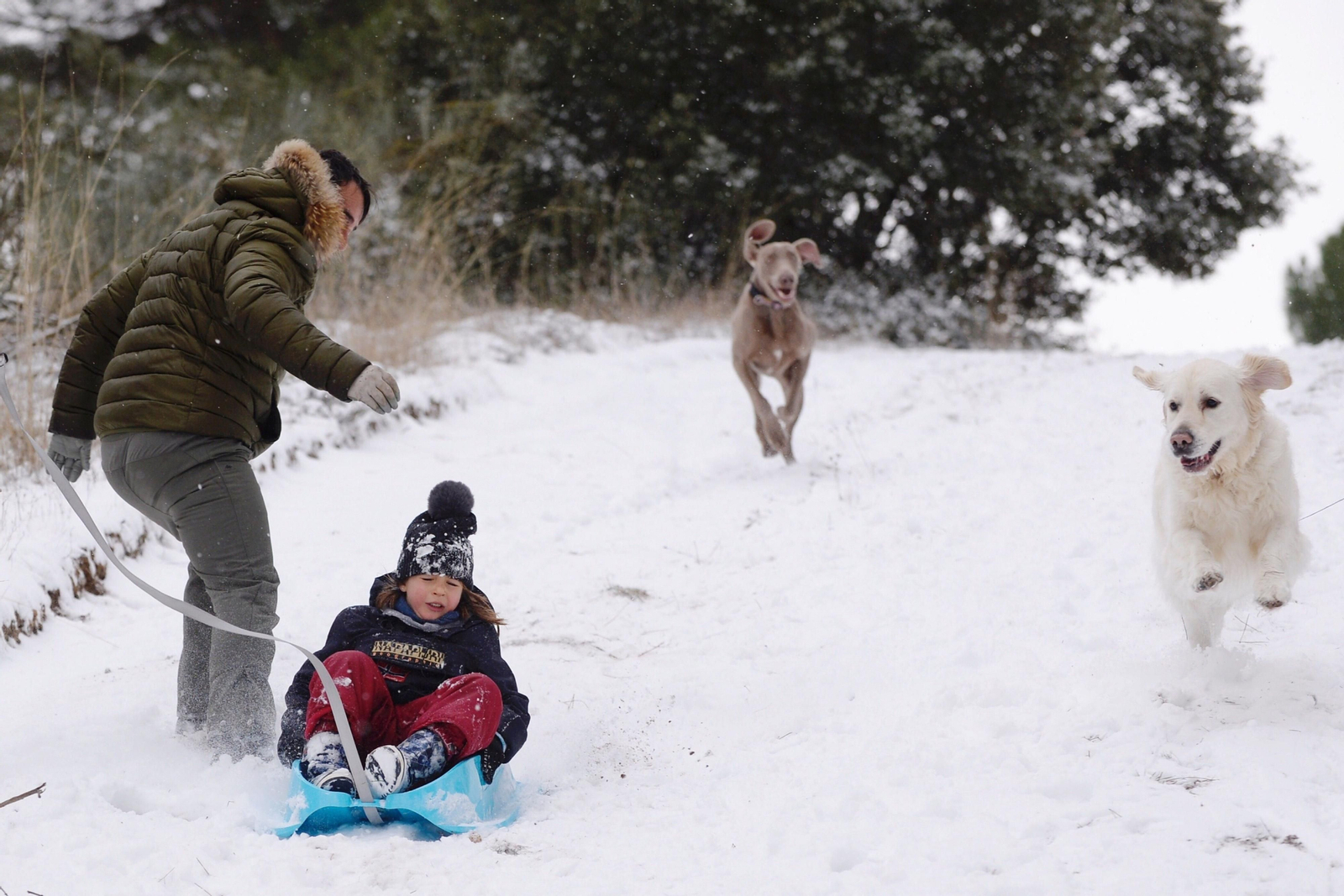 El segundo día del temporal 'Filomena' en imágenes: más nieve y caos