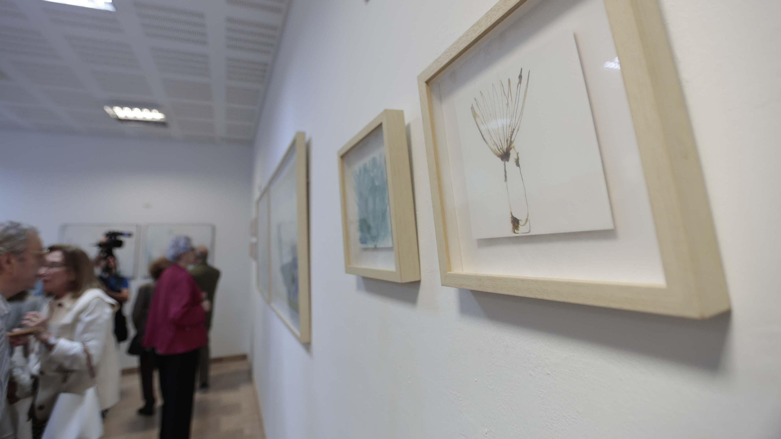 Las fotos de la inauguración de la exposición de Blanca Orozco "Lo que renace"