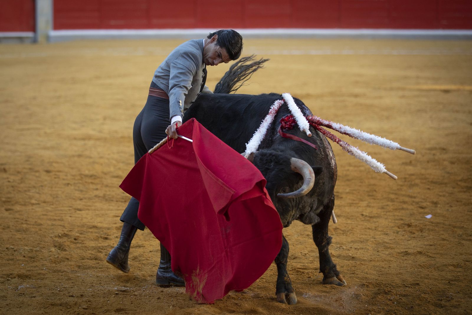Las mejores imágenes del Festival Taurino en beneficio de Granadadown