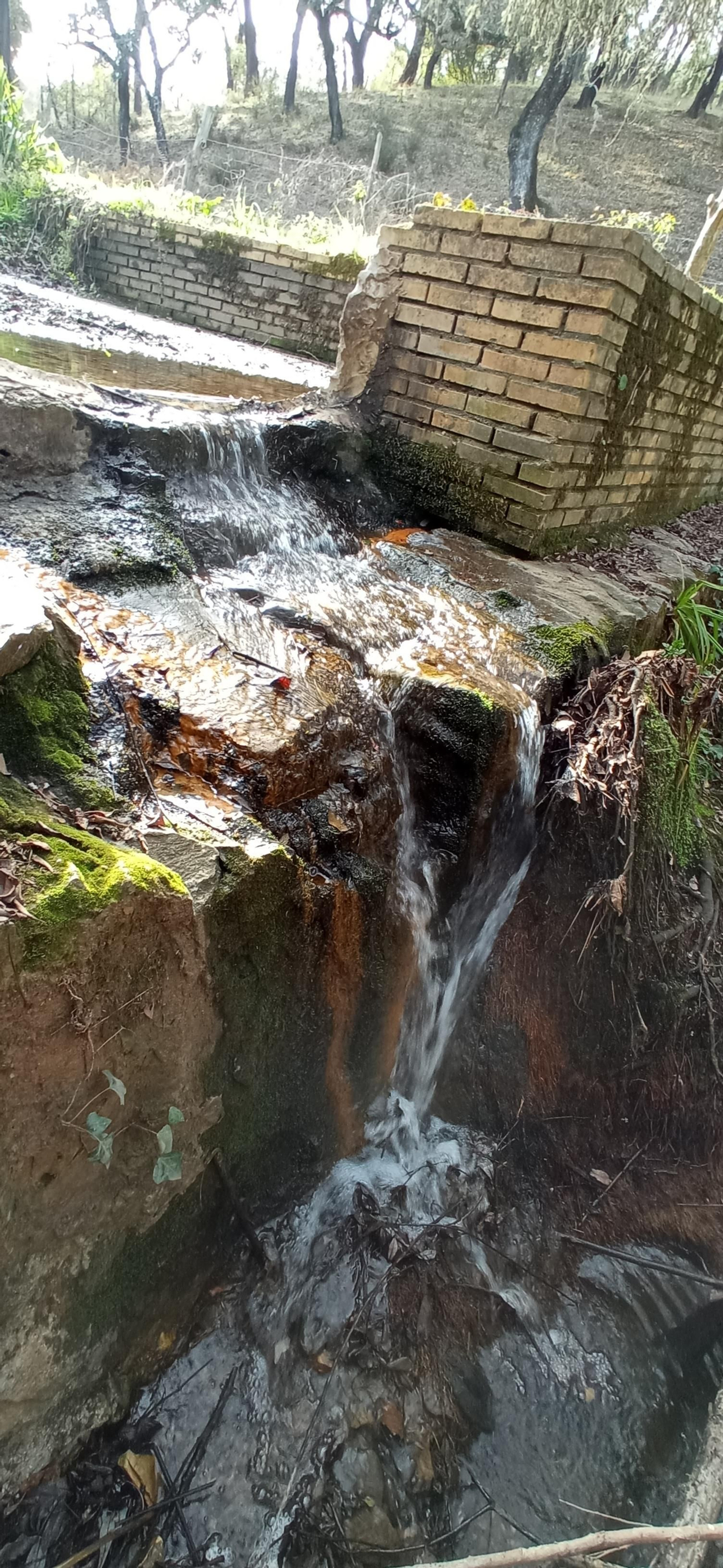 Las imágenes de la ruta de la Dehesa de Valdelama: De Los Marines a Fuenteheridos y vuelta