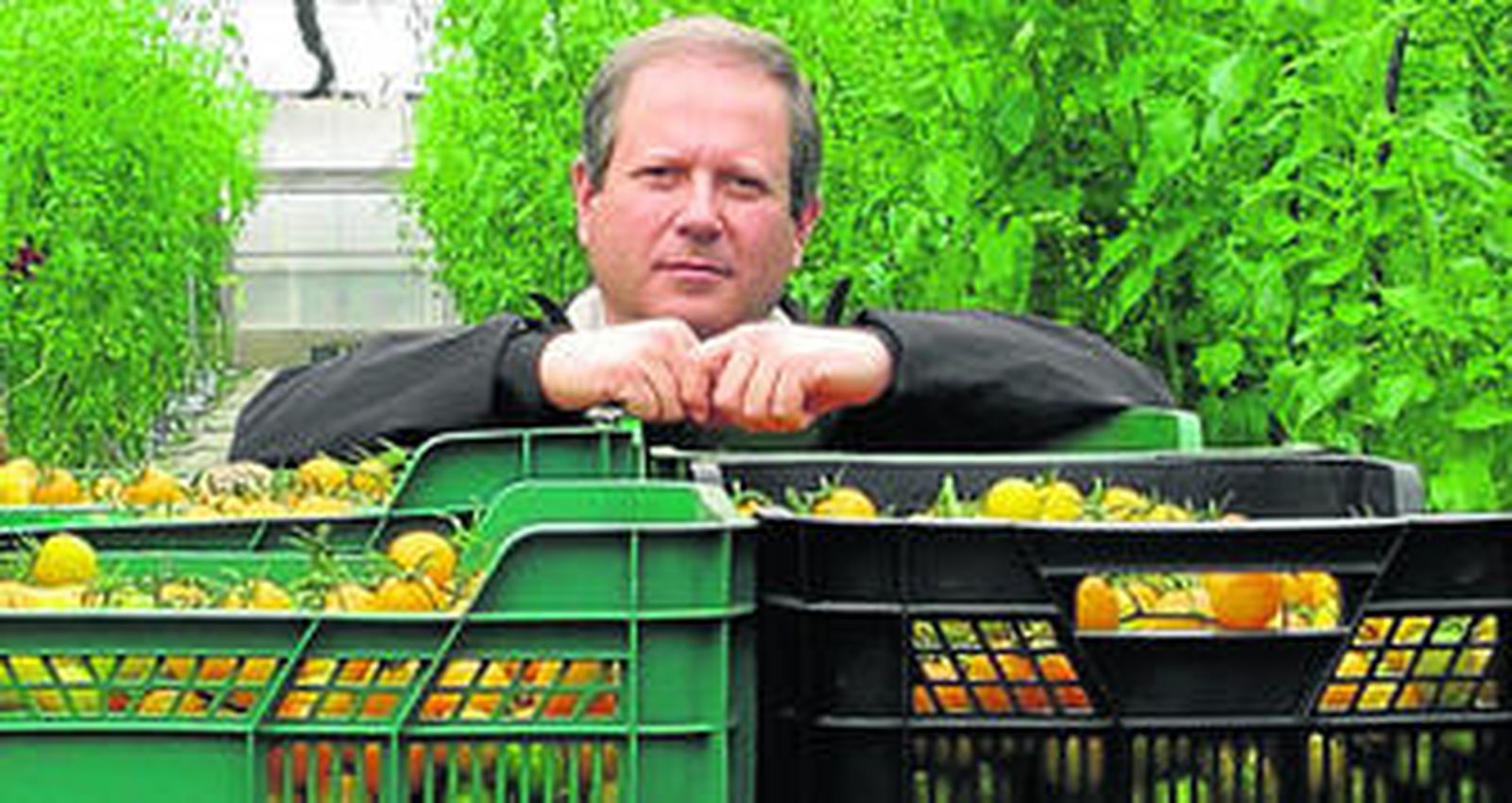 Javier Villegas, delegado de Koppert en Almería.