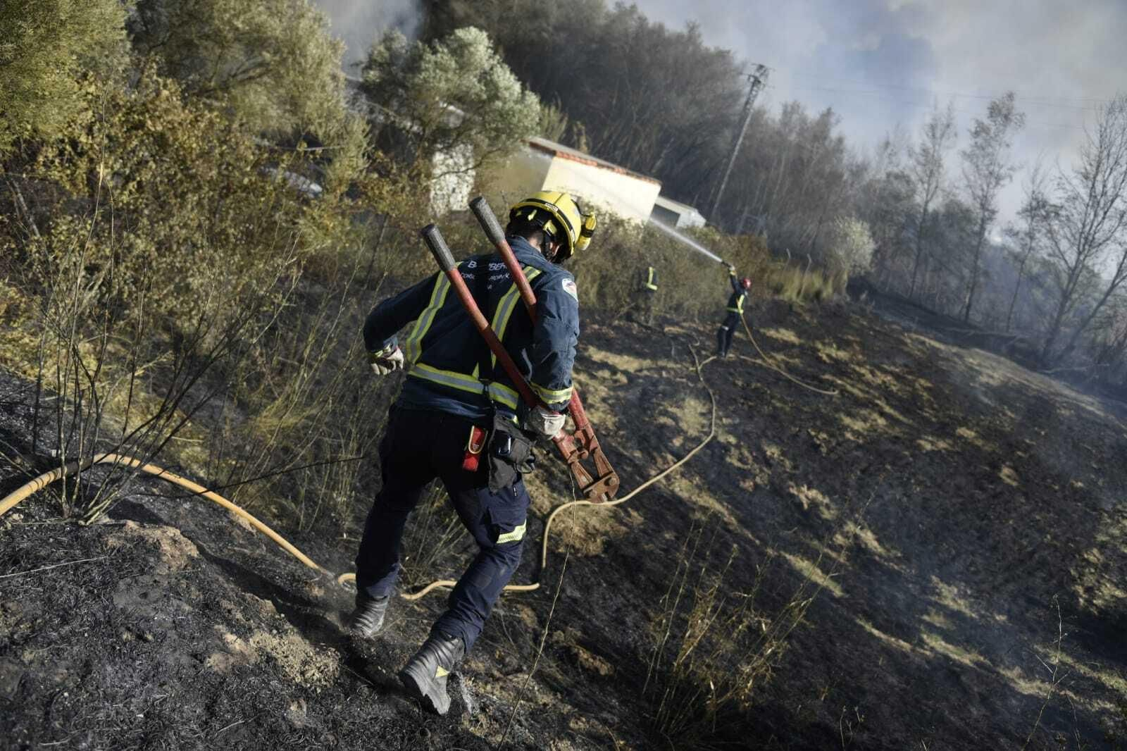 Imágenes del incendio forestal de Bonares