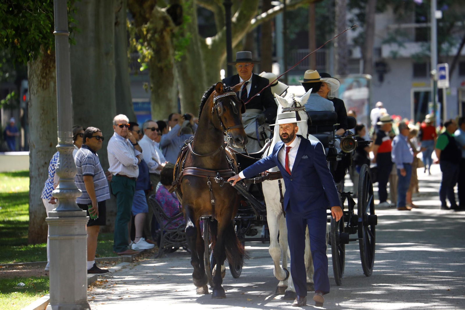 La exhibición de carruajes de tradición Nuestra Señora de la Salud, en imágenes
