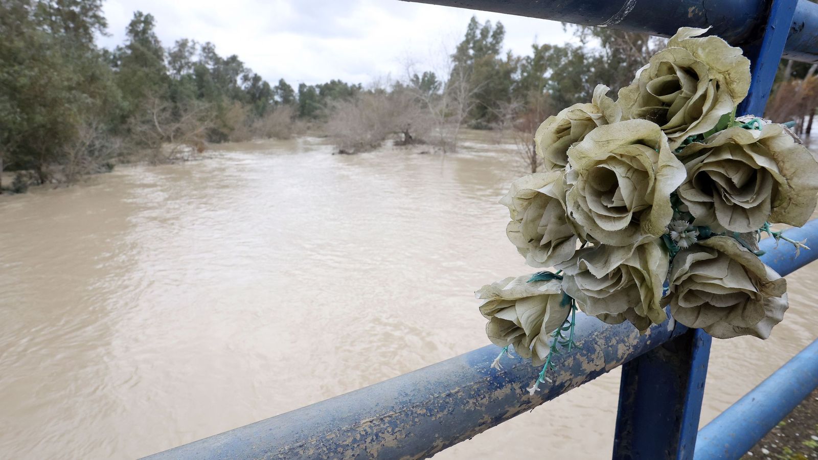 El Guadalete comienza a bajar su nivel poco a poco por la zona rural de Jerez