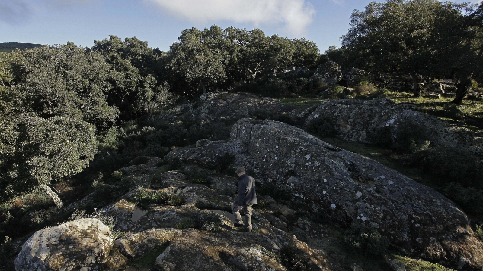 Sendero de la finca Murta en Los Barrios