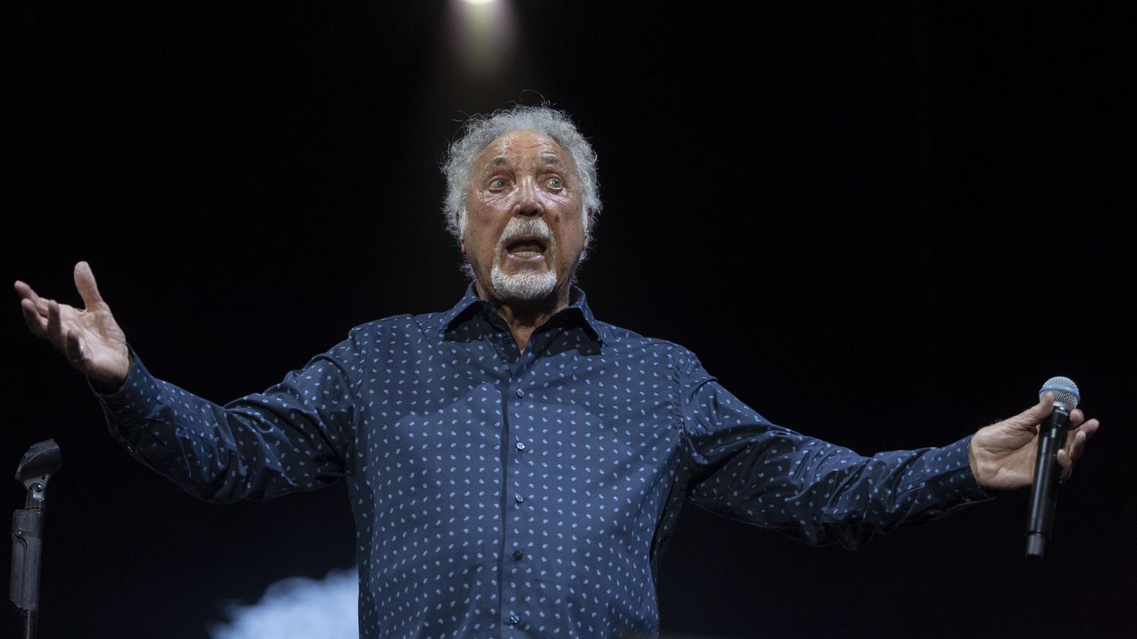 Búscate en las imágenes del concierto de Tom Jones en Concer Music Festival de Chiclana