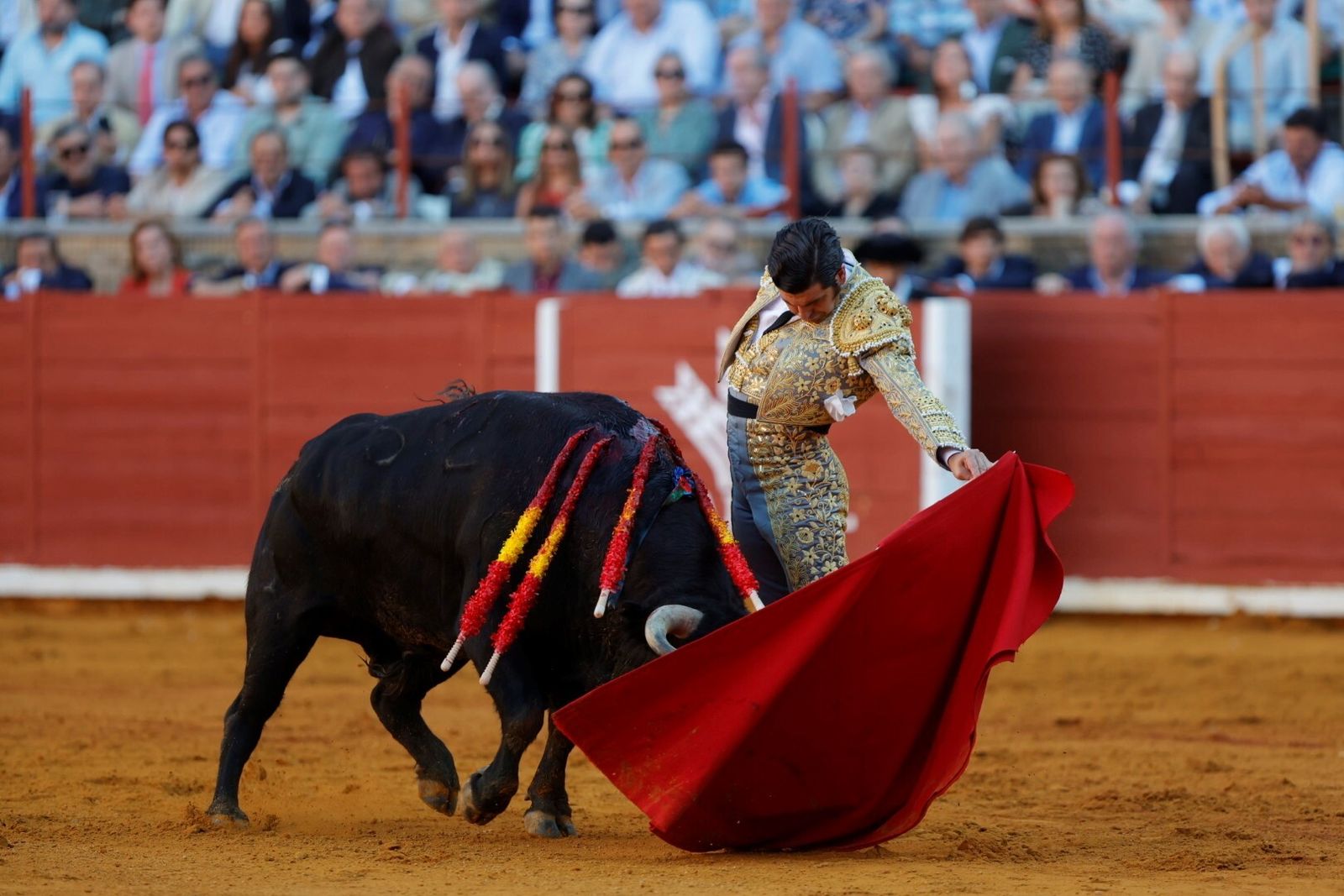 Las mejores fotos de la corrida de Morante, Ortega y Roca Rey en la Feria Taurina de Córdoba