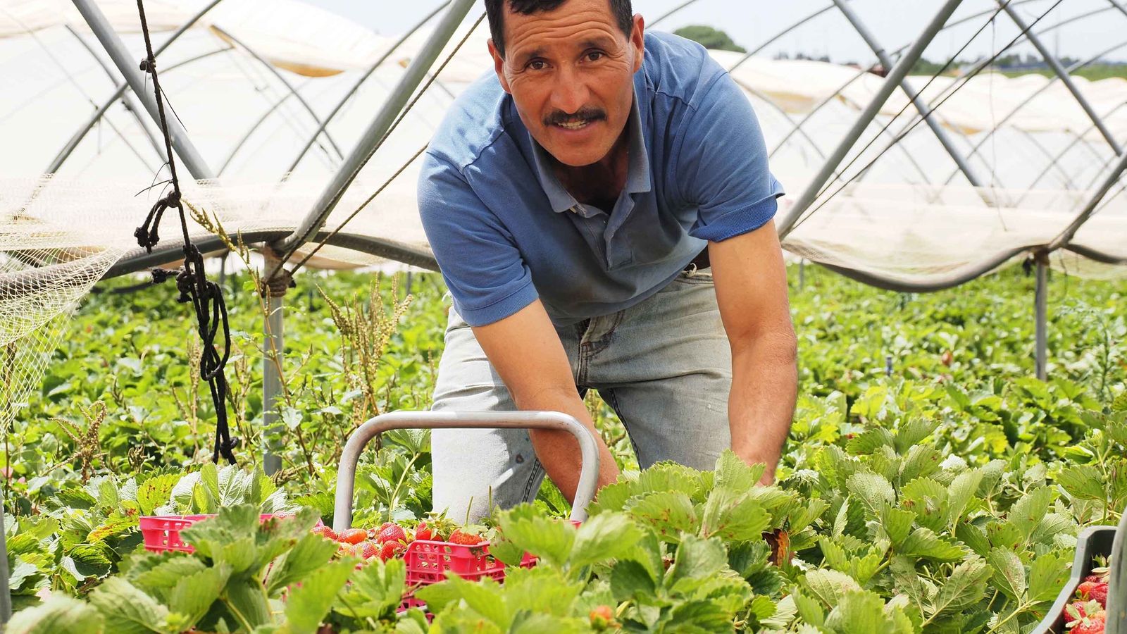 José Adalberto Sarmiento (44 años)