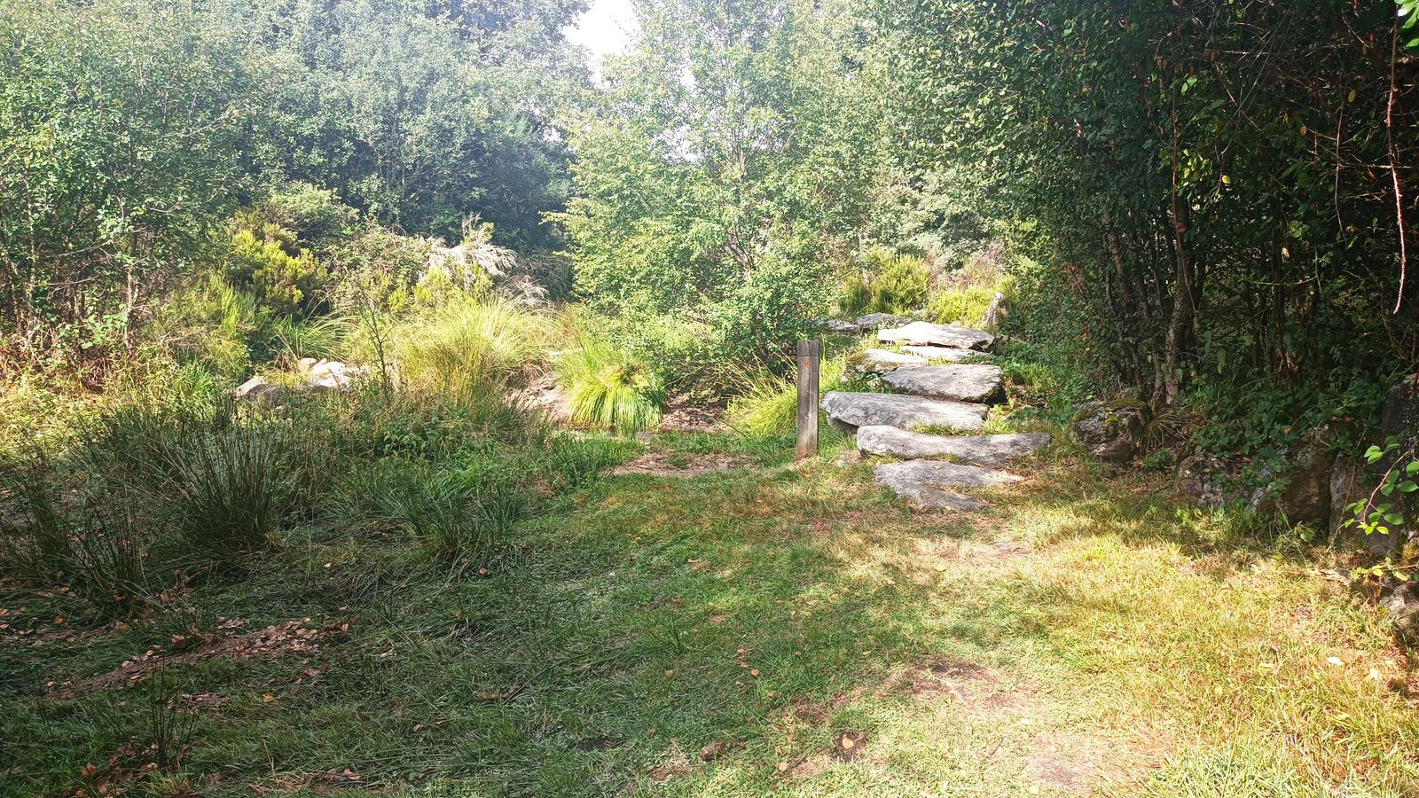 Atravesaremos algunos arroyos por piedras.