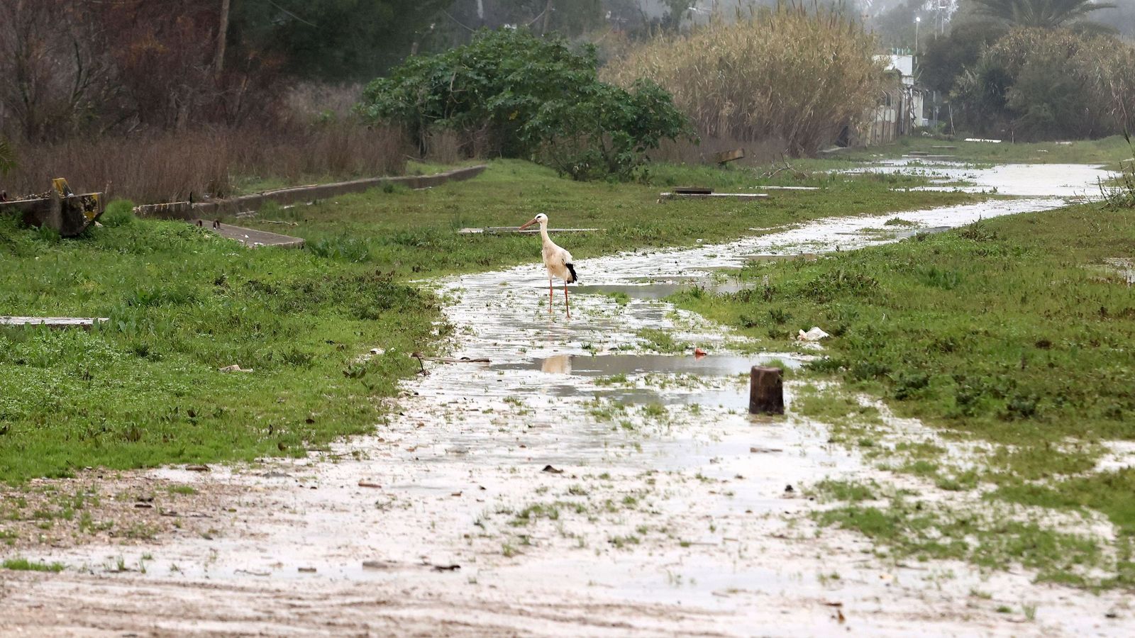 Vuelta a sus casa en La Ina, La Corta y El Portal