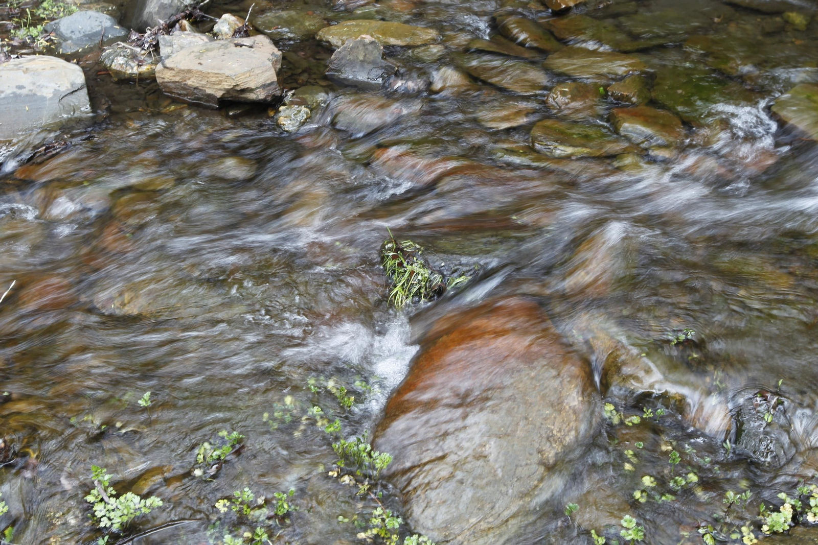 Naturaleza desconfinada. La Roza (Abrucena)