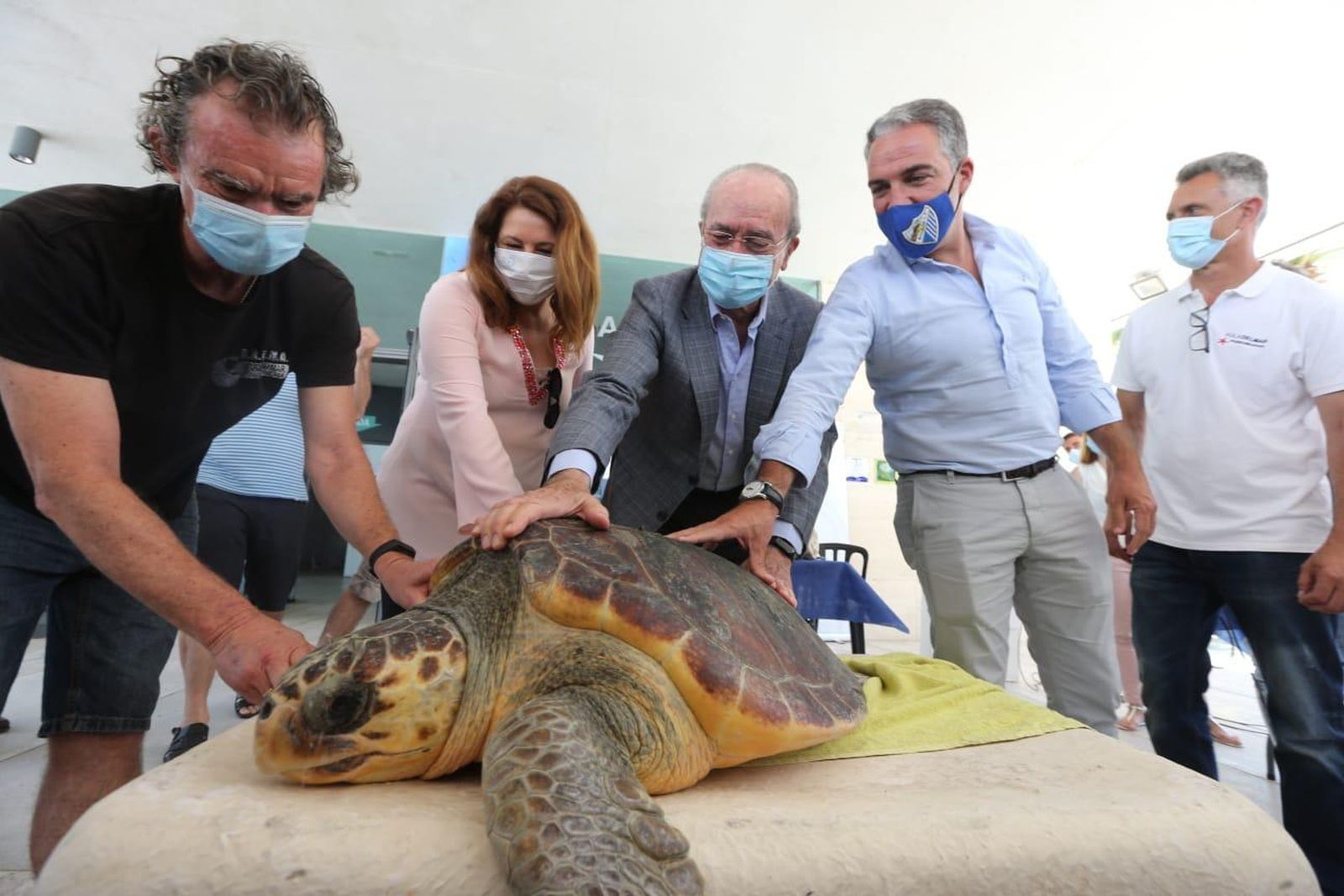 Elías Bendodo, junto a Francisco de la Torre y Carmen Crespo, este lunes, en la  liberación de una tortuga marina.