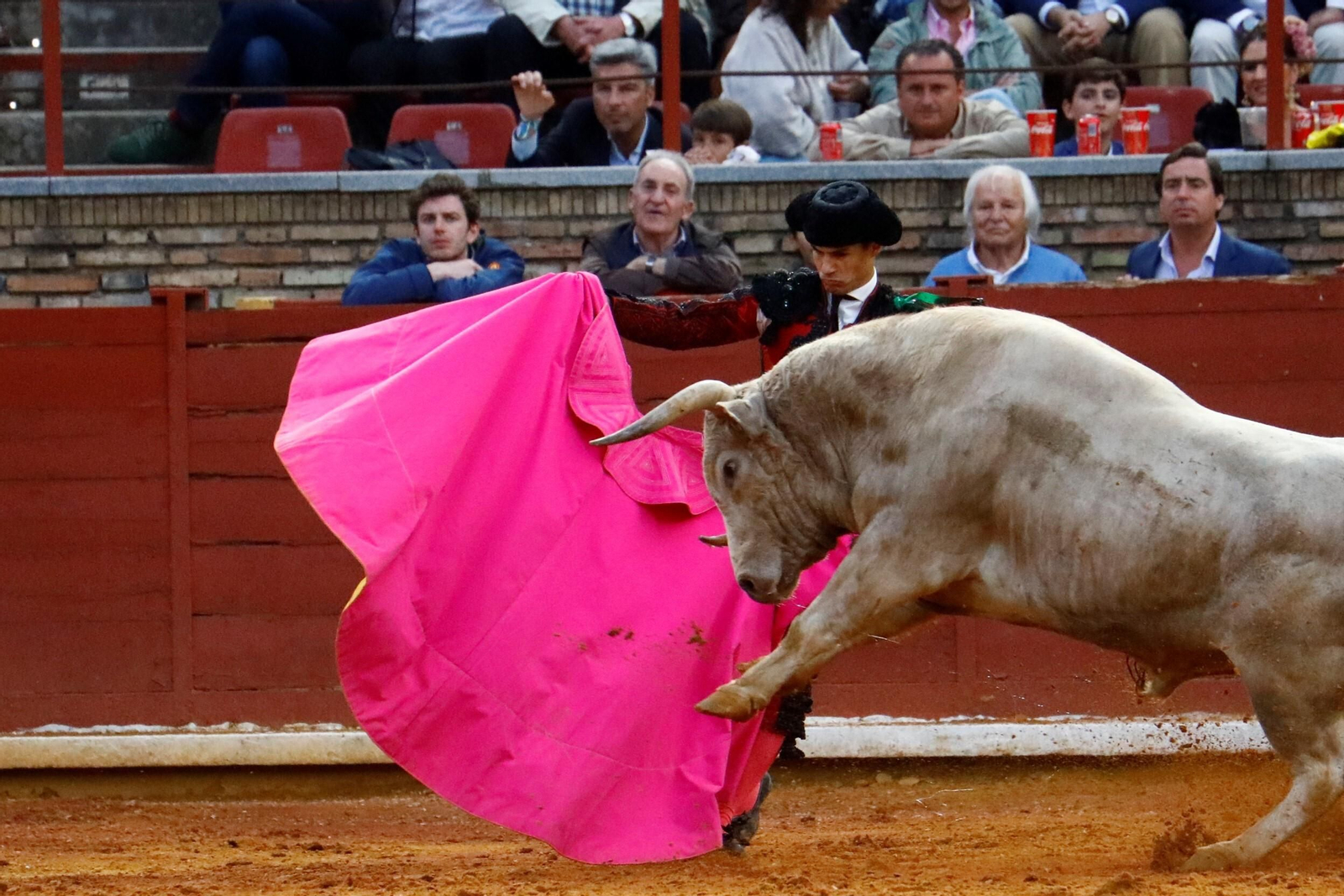 La última corrida de la Feria Taurina de Córdoba, en imágenes