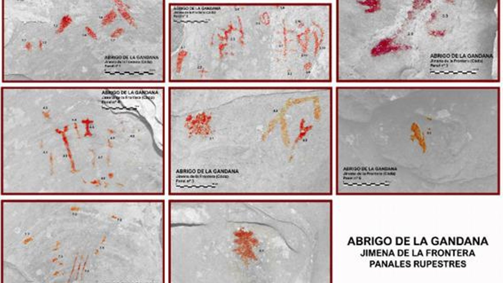 Paneles rupestres en el abrigo de La Gandana.