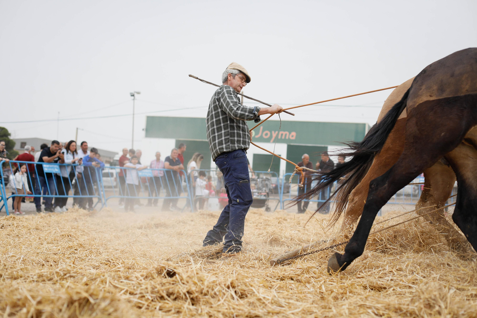 Galería de la Feria  de ganado en Tarambana